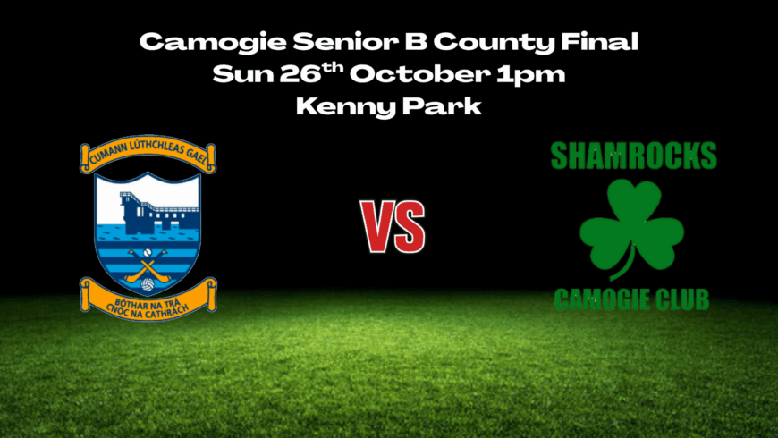 Camogie Senior B County Final